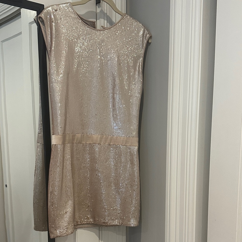 Halston Heritage Sequin Dress in Champagne